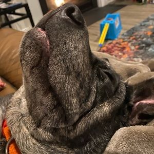 Meet your Posher, Chelsea